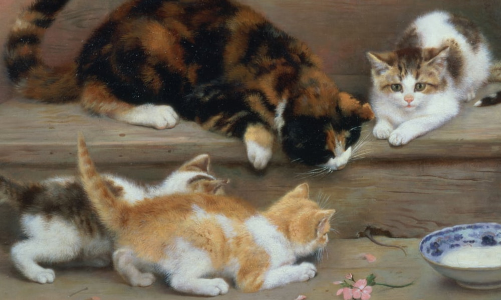 Pets