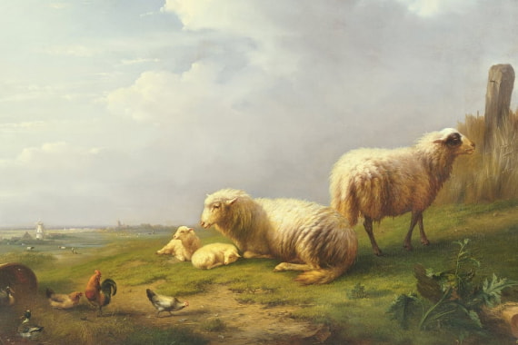 Farm Animals