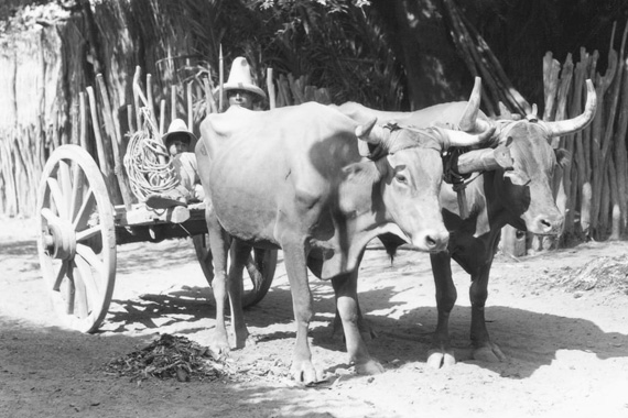 Vintage Photographs