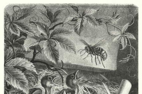 Emil (after) Schmidt