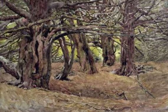 George Carline