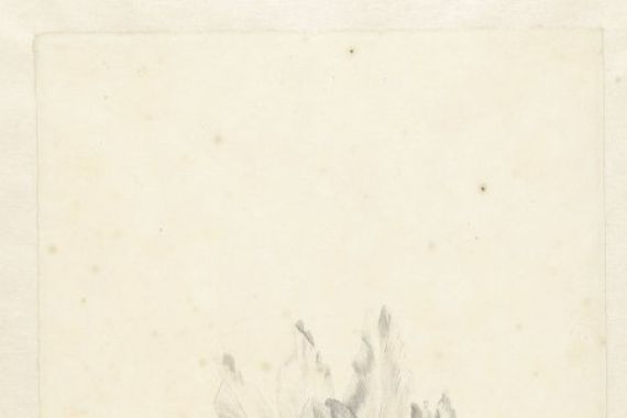 Pieter Withoos (circle of)