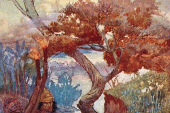 William Bradshaw Handforth