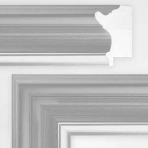 Sample frame