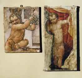 Putto with Flowers, Putto with a Curtain