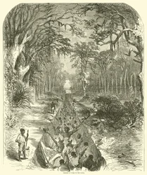 Slaves at Work on the Canal, March 1863