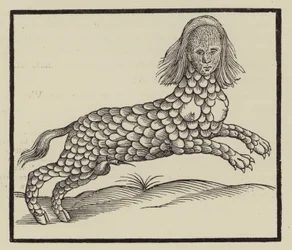 Four-legged creature with a body covered in scales