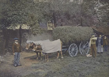 Bearnais Carriage