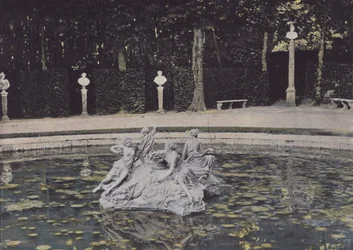 The Nymphs