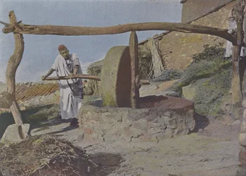 The Arab Mill
