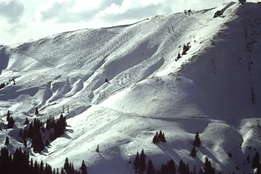 Snowy Slope
