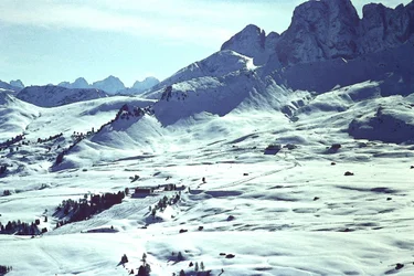 Snowy Landscape