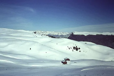 Snow in the Alps
