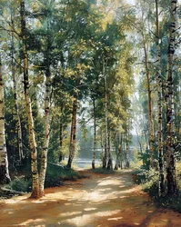 Winding road green forest