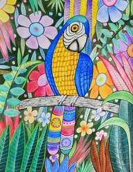 Parrot