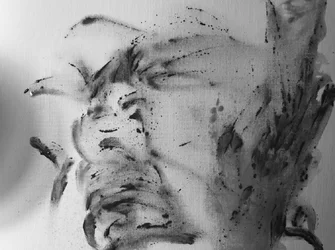 The Face in the Face