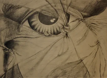 Veiled Look