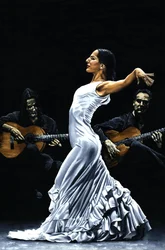 Concentration of Flamenco Performance