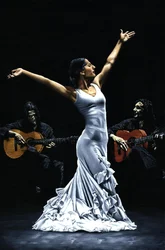 Flamenco Performance Finale