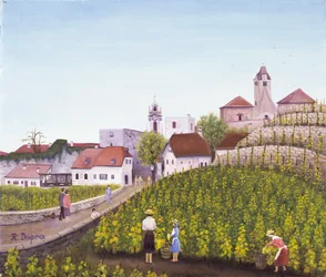 Grape Harvest in Dürnstein