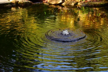 Water Reflection