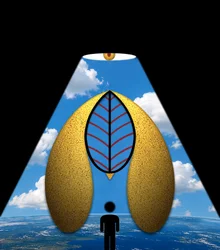 The Blue Wonder (from the series Clearing)