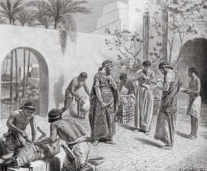 Hepatoscopy, or Divination by the Liver