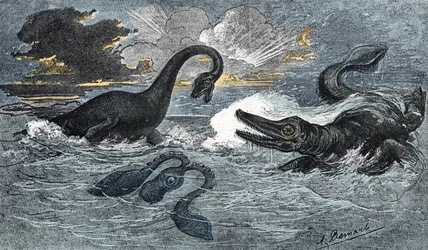 Plesiosaur and an ichthyosaur from the Lower Jurassic period