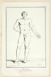 Design: General Proportions of the Male, from Encyclopédie