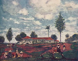 A Coffee Fazenda