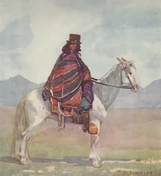 An Araucanian Indian