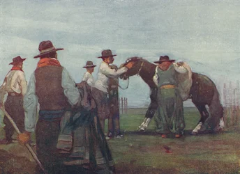 Gauchos Breaking in a Young Horse