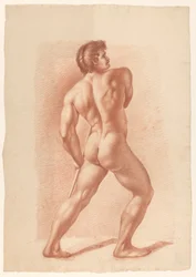 Standing Male Nude, Seen from the Back