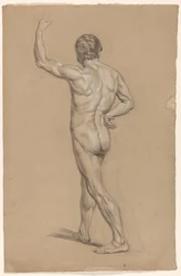 Standing Male Nude, Seen from the Back