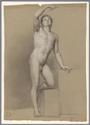 Standing Male Nude, Seen from the Front