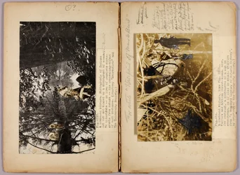 N. American Indians, study folder for book Concealing Coloration in the Animal Kingdom