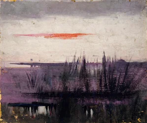 The Sky Simulated by White Flamingoes, study for book, Concealing Coloration in the Animal Kingdom