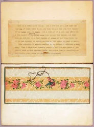 Three-Toned Bird Design, Study Folder for Book Concealing Coloration in the Animal Kingdom