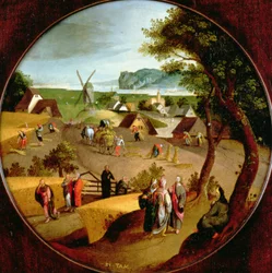 Unknown Picture