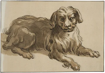 Long-Haired Dog