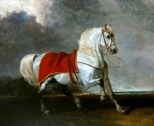 Saddled grey charger frightened by a storm, called 