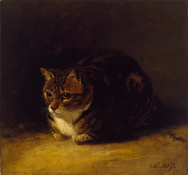 Study of a Cat