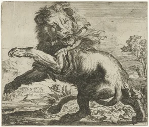 Lion and Snake Fighting