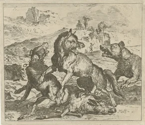 Wolf Attacked by Dogs (Various Animals series)