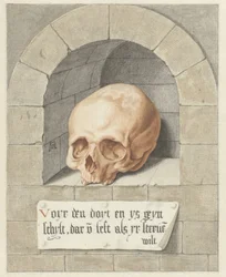 Skull in a Niche