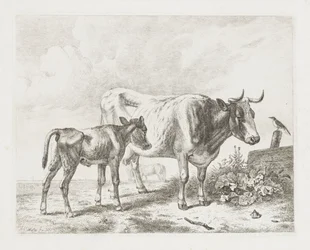 Cow and Calf in a Meadow