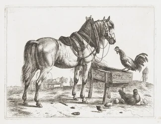 Horse by a Feeding Trough