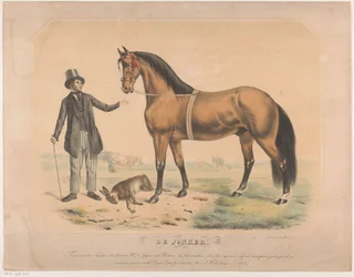Horse of W.L. de Jager from Wartena (De Jonker)