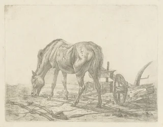 Unhitched Horse by a Plow