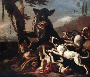 Boar Hunting